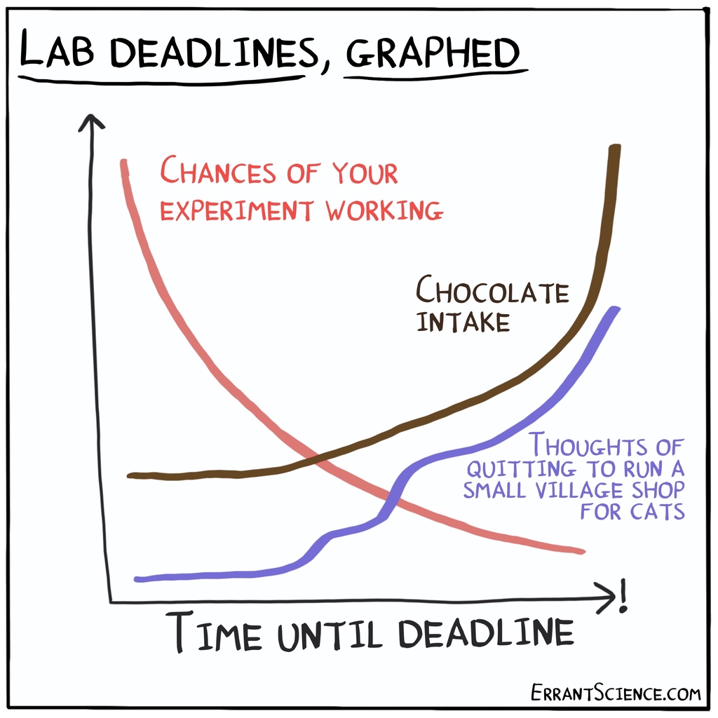 The relationship between deadlines and working experiments is a tricky thing and needs further study

#cartoon #academia #science