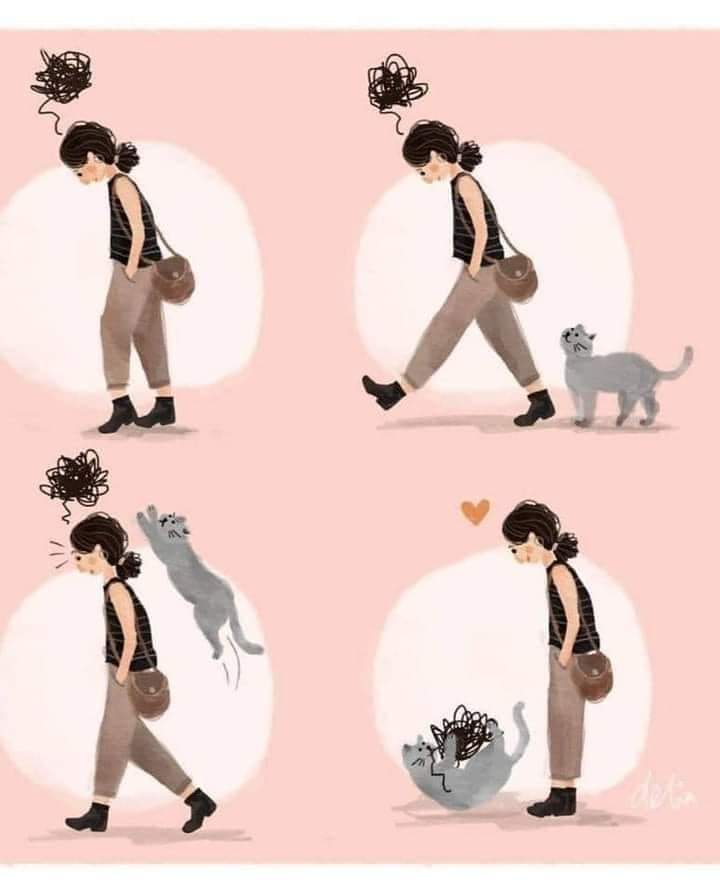 Humeur du jour 😺
#petitpostdudimanche