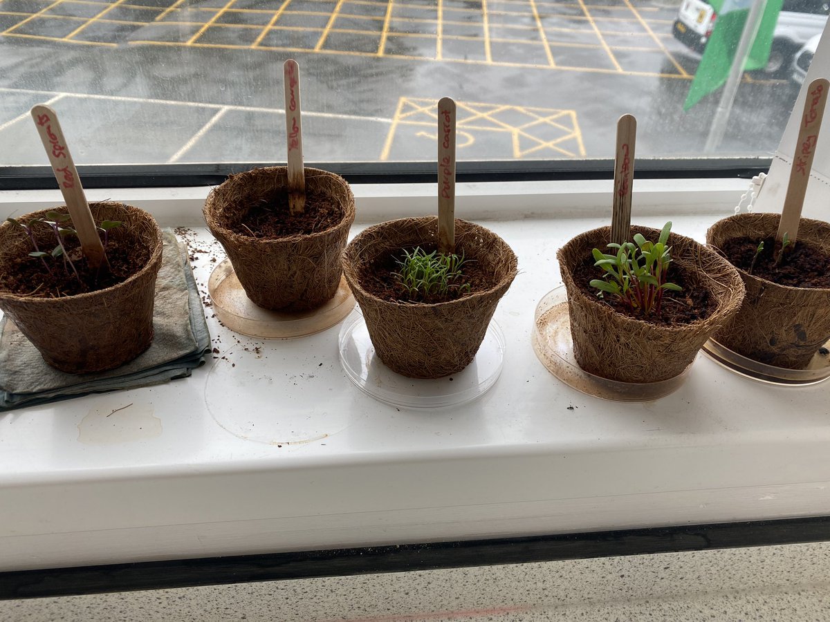 Miss_GScience's tweet image. I’ve completed my PGCE! It’s been one of the hardest years ever, but I’ve made it through. Roll on September👩‍🏫