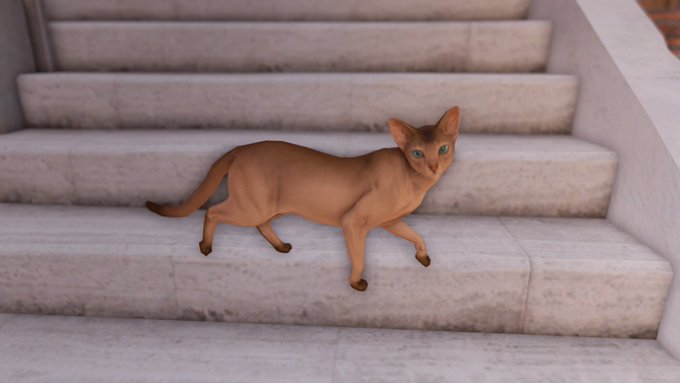 ทว ตยอดน ยมในami 4 ว เคราะห ทว ตเตอร กราฟ ก Whotwi