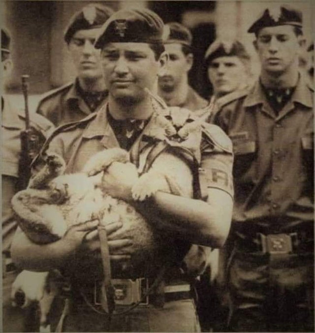 RealSCR3AM's tweet image. Floppa is a real hero 👑🔥