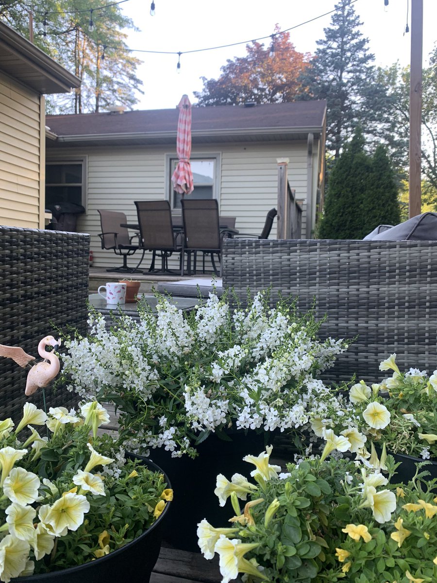 carolineradaj's tweet photo. Good morning from me and my new plants on my patio. Iโll be taking my coffee here in the morning for the foreseeable future. ๐ฅฐ #LoveWhereYouLive #MadisonWI #eastsidebestside https://t.co/YTmxiTSrI0