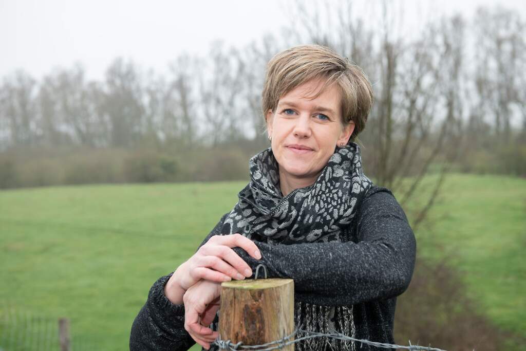 Column: Het KLM syndroom | Melkvee.nl melkvee.nl/artikel/491031…