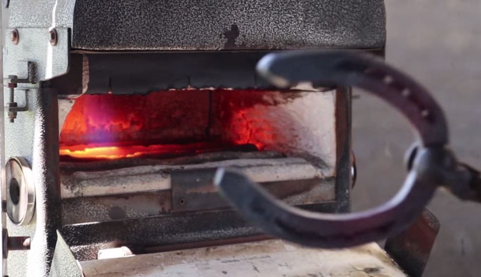 UFVetMed's tweet photo. It's #nationalfarriersweek! Thank you to the farriers around the world for caring for #equine patients! 

Check out a story published by @WUFTNews reporter @simmonslr_ on A Farrier's Life.

https://t.co/3N2My0Iuy1 https://t.co/tgfJbauJGo