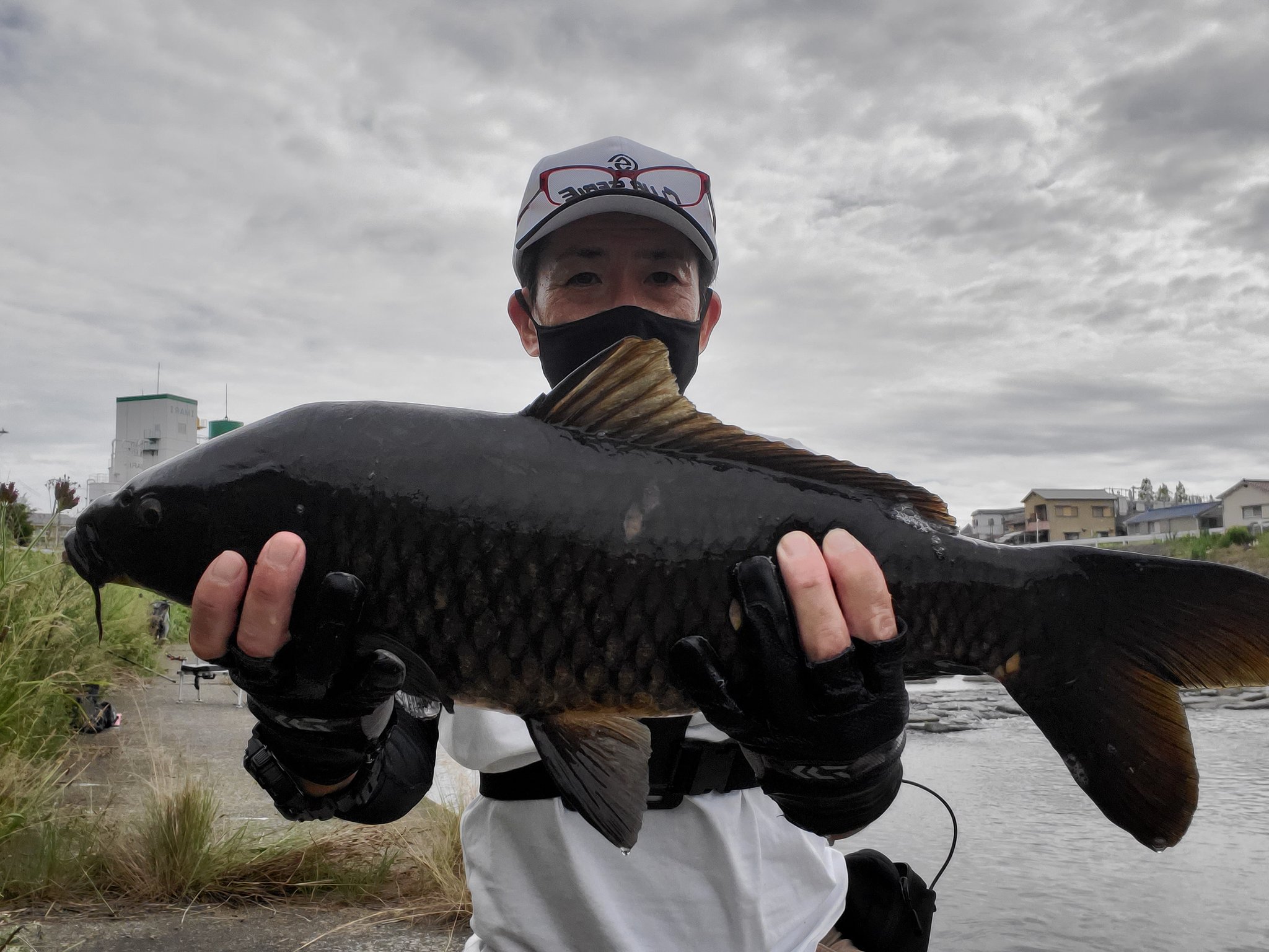 チーコイ なんとか一匹釣れました めっちゃ黒い鯉でした T Co Tfirgzyldn Twitter