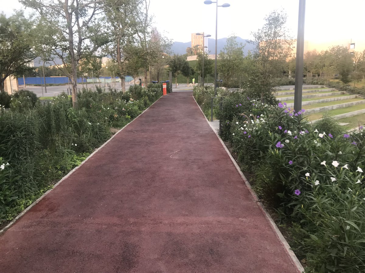 Victor M. Gutiérrez Sánchez tweet media