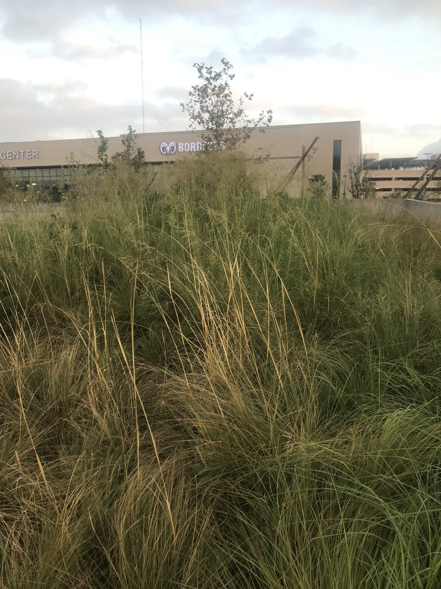 Victor M. Gutiérrez Sánchez tweet media