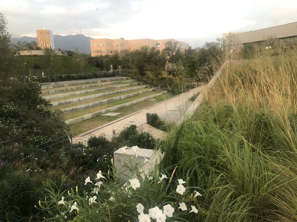 Victor M. Gutiérrez Sánchez tweet media