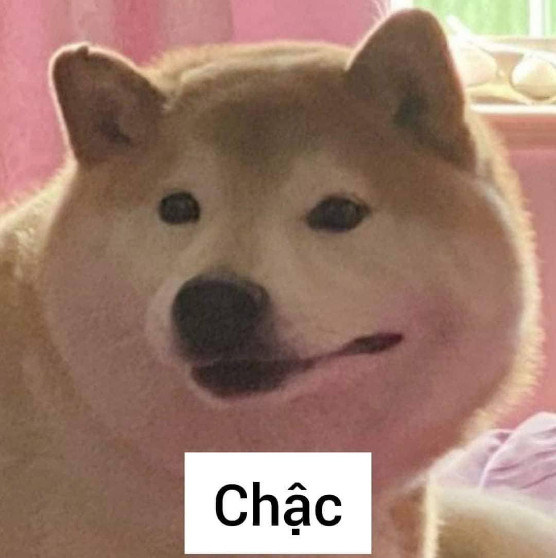 Nàní the Chó tweet media