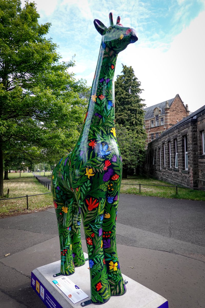 #GiraffeAboutTown this beauty at #BruntsfieldLinks #edinphoto