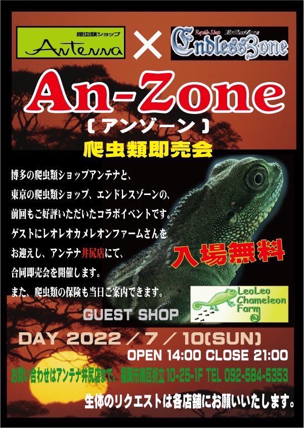 Antenna_kokura's tweet photo. 【💥アンゾーン💥】
次の週末、日曜日はいよいよアンゾーンです🥳
なかなか当店では見ることの出来ない珍しい生体も多数👀👀
この機会をお見逃し無く!!!
#アンテナ
#ENDLESSZONE
#レオレオカメレオンファーム https://t.co/hqBd8VPtOn