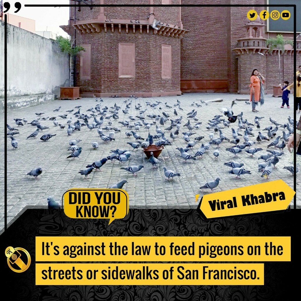 viralkhabra's tweet photo. Did You Know this interesting fact?
.
.
#DidYouKnowVK
#Peigon #law #sanfrancisco #didyouknow #millions #possiblefact #jammu #kashmir
#jammudiaries #jammutourism #srinagar #srinagardiaries #srinagartourism #kargil #leh https://t.co/cYGDgZJGlK