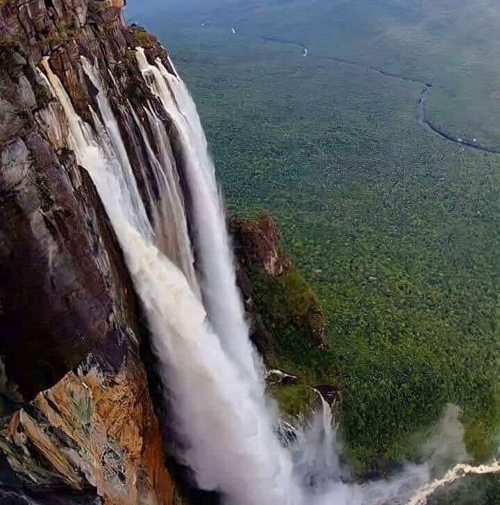 GianlucaCoccon1's tweet photo. Imponente…
La más alta del MUNDO…Parque Nacional CANAIMA…Edo Bolívar 🇻🇪🇻🇪🇻🇪🇻🇪🇻🇪🇻🇪🇻🇪🇻🇪🇻🇪🇻🇪🇻🇪 https://t.co/jxJPEPhxXJ