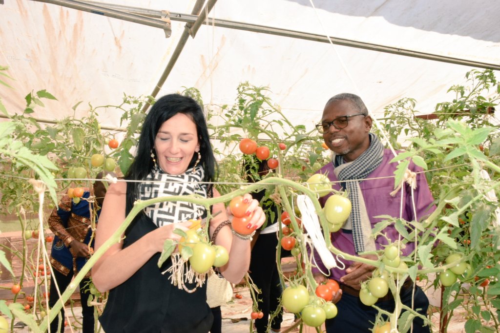 RTNBurundi's tweet photo. @Burundi1stLady en compagnie du ministre de @BMineagrie, du représentant résident des systèmes @UN_Burundi de #FA0, celui de @progrfidabdi et le consul de l' #Italie au #Burundi procède à la 3ème récolte des tomates cultivées sous serre par la famille présidentielle à #Kibimba, https://t.co/oh9CM797EI