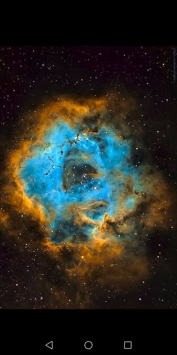 maiz_julio's tweet photo. NGC2244 Rosette Nebula in Monoceros by LarryS. https://t.co/cxPNCOZ2Gr