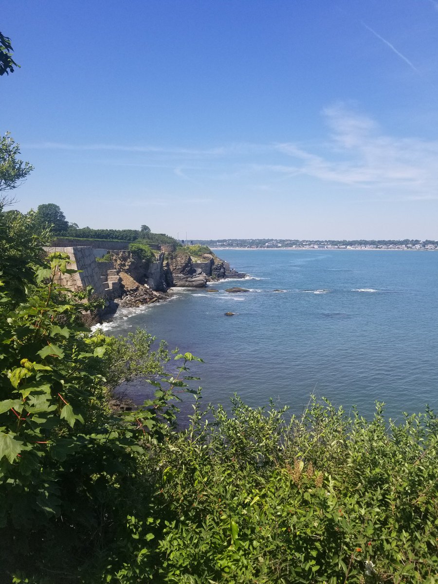 ianapt1's tweet photo. It was so amazing to be back in-person at the Bioanalytical Sensors GRC! Lots of great people and great science. Now looking forward to co-chairing the affiliated 2024 GRS with @Dshekemi

Plus a very serendipitous 42-hour layover spent at the beach in Toronto! https://t.co/DMnTuyPDGe