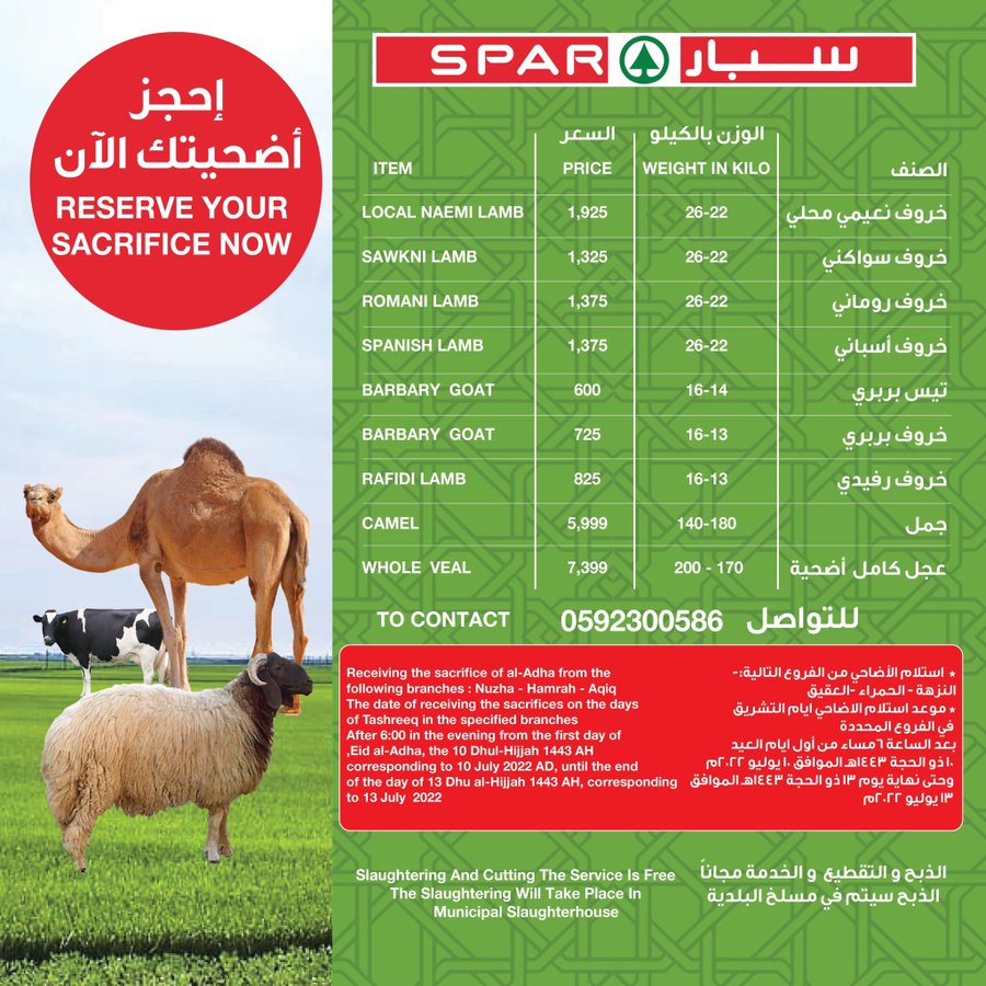 الصورة