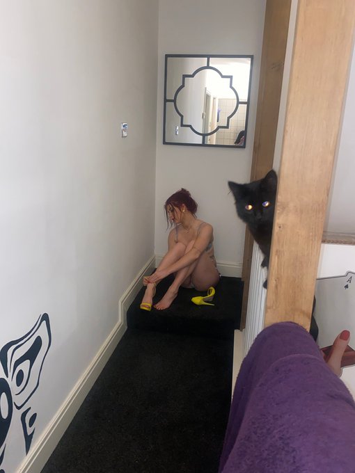 1 pic. A story in three parts ? https://t.co/f1CZZYjGwz