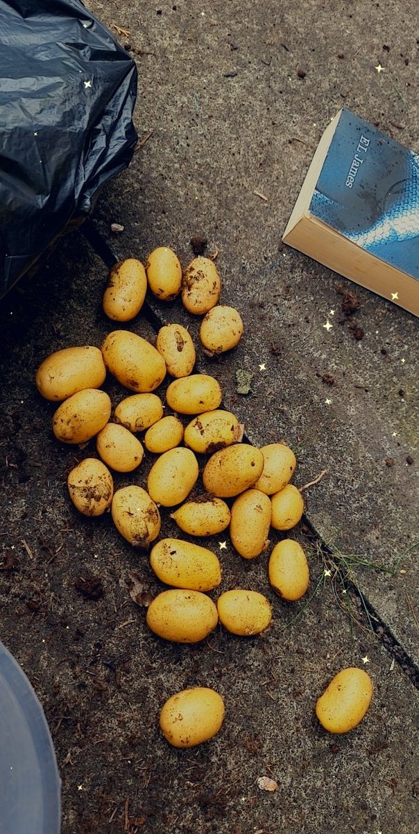 kenyahoyland's tweet photo. My #homegrown New Potatoes I'm gonna Boil them and use Salt, Black Pepper,Mint and Butter ππ₯π₯#growyourownfood #Growth #GardeningTherepy #GardeningTwitter #GardenersWorld #GrownInPots https://t.co/es1vH8XkhP