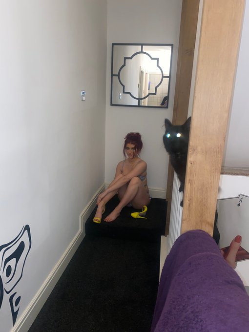 3 pic. A story in three parts ? https://t.co/f1CZZYjGwz