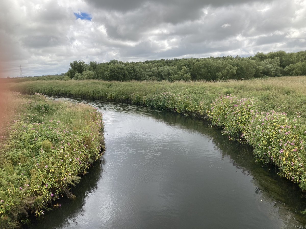 WalkingMunro's tweet photo. Lovely walk around Lunt Meadows Natural Reserve this morning. Lovely place on our doorstep. https://t.co/tlphQ1X05P