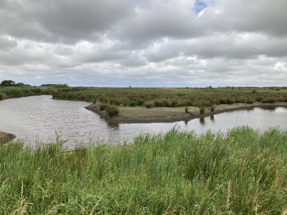 WalkingMunro's tweet photo. Lovely walk around Lunt Meadows Natural Reserve this morning. Lovely place on our doorstep. https://t.co/tlphQ1X05P