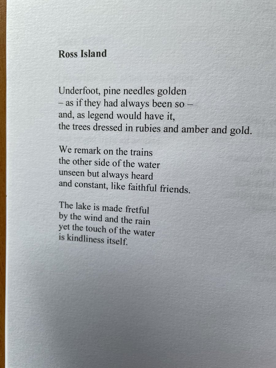 Ian Seed tweet media