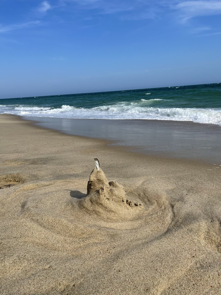 Build sandcastles, remember ‘location location location’…but no matter how strong the forces all around you….never surrender…