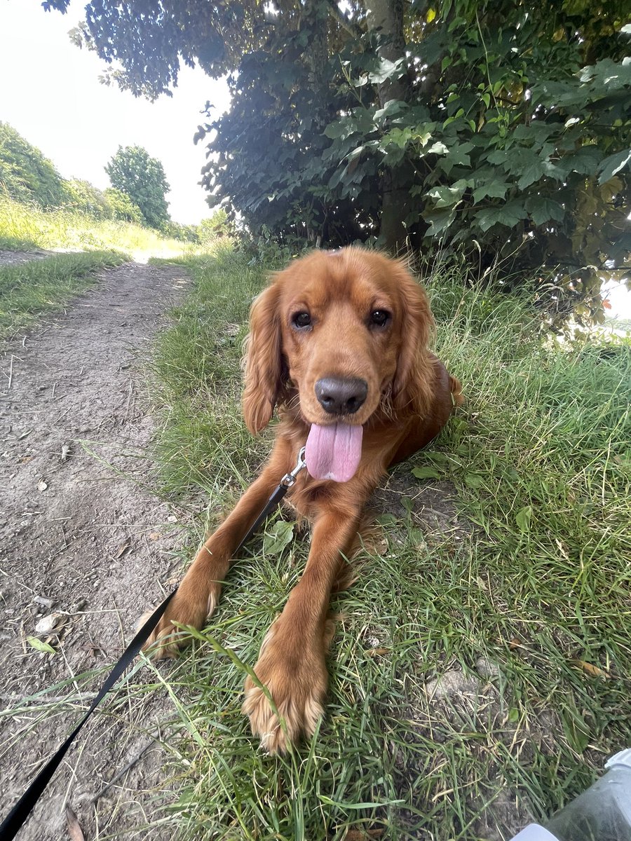 Mrs Stammers tweet media