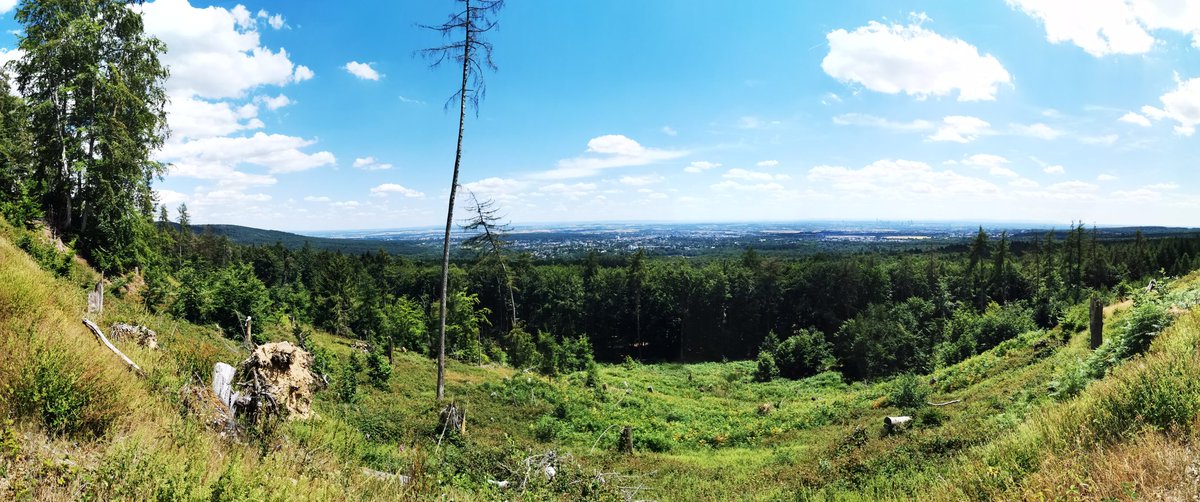 RuedigerKurz's tweet photo. Heute Blick auf Frankfurt auf dem Rückweg vom Feldberg über Oberursel zur Saalburg.
#geileTour https://t.co/T2P7JUmKLh
