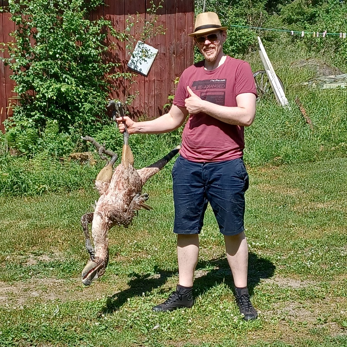 vili_koskinen's tweet photo. Finally I managed to catch the chicken killer, which have been terrorizing my mother's farm. https://t.co/ASjgpVKwtq