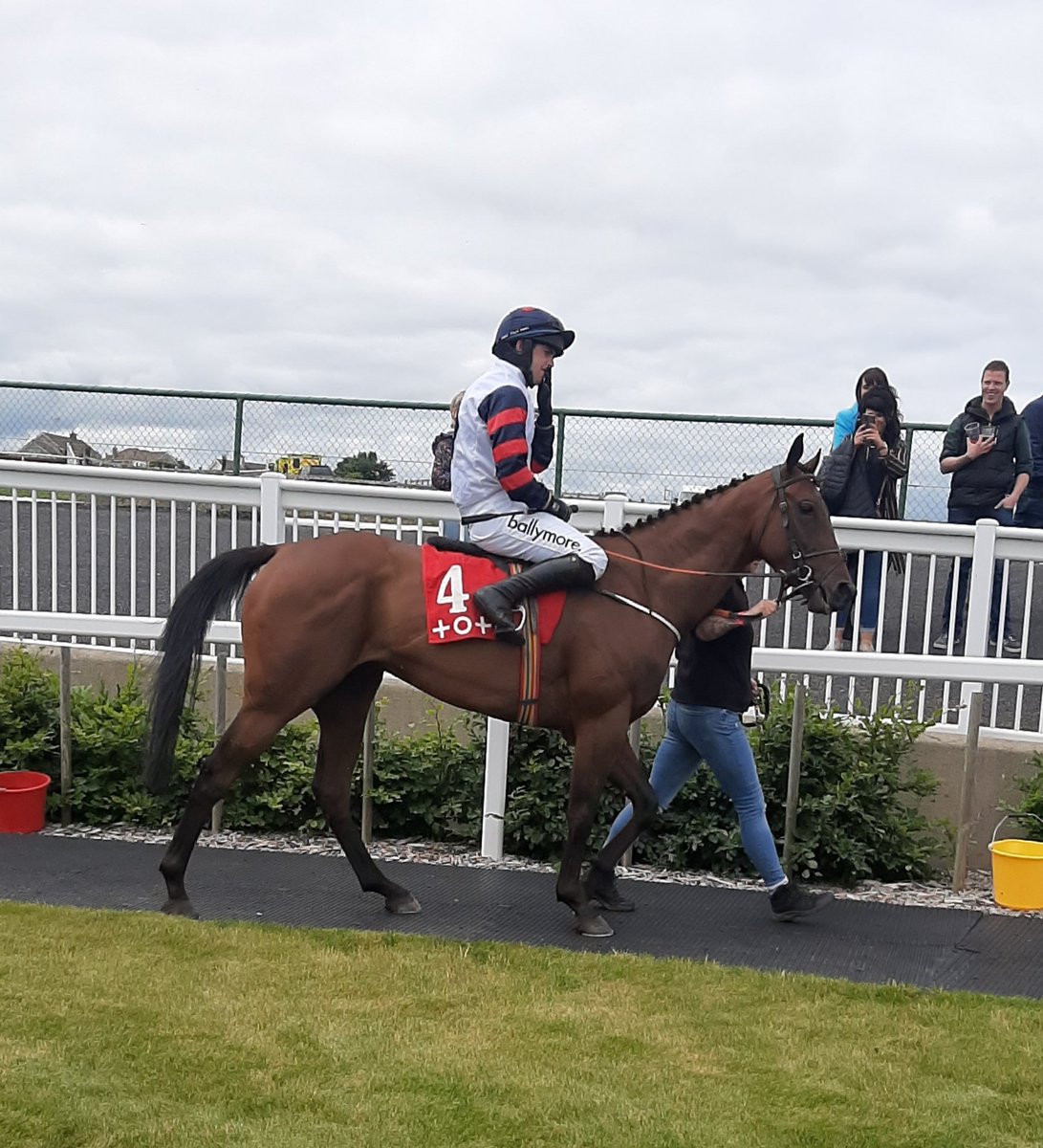 IrishRacing365's tweet photo. The well-backed Morepowertoya (20s early, returned 5/1) returns to the parade ring after winning the opener at Tramore under Darragh O'Keeffe for Paul Power and the Going Global Syndicate. https://t.co/HNebb9hKw2