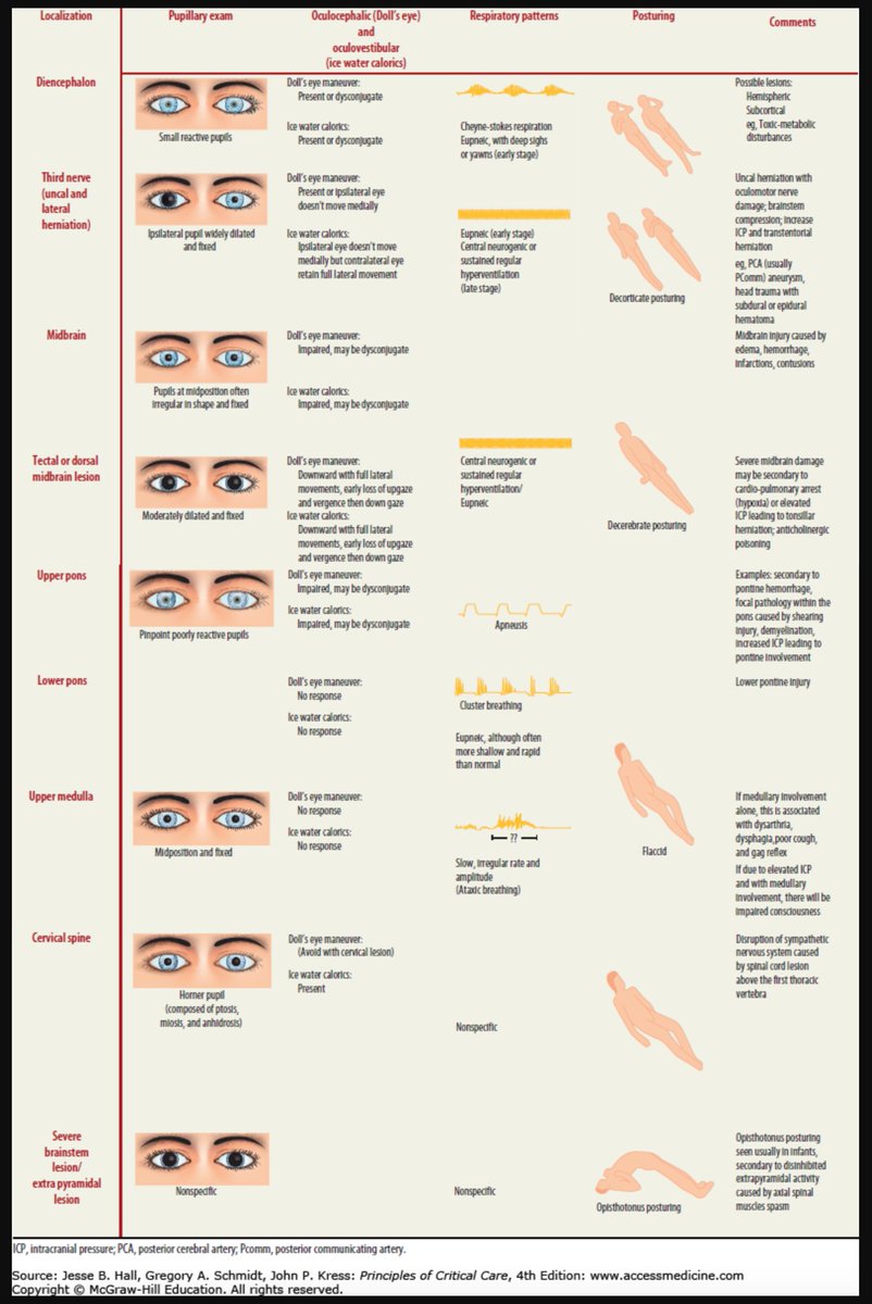 Oren Gottfried, MD tweet media