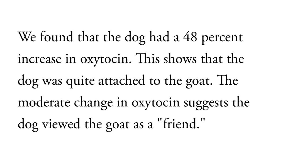 RachelMComedy's tweet photo. I can't stop laughing about this friendzoned goat https://t.co/Ib6gpwIk6l