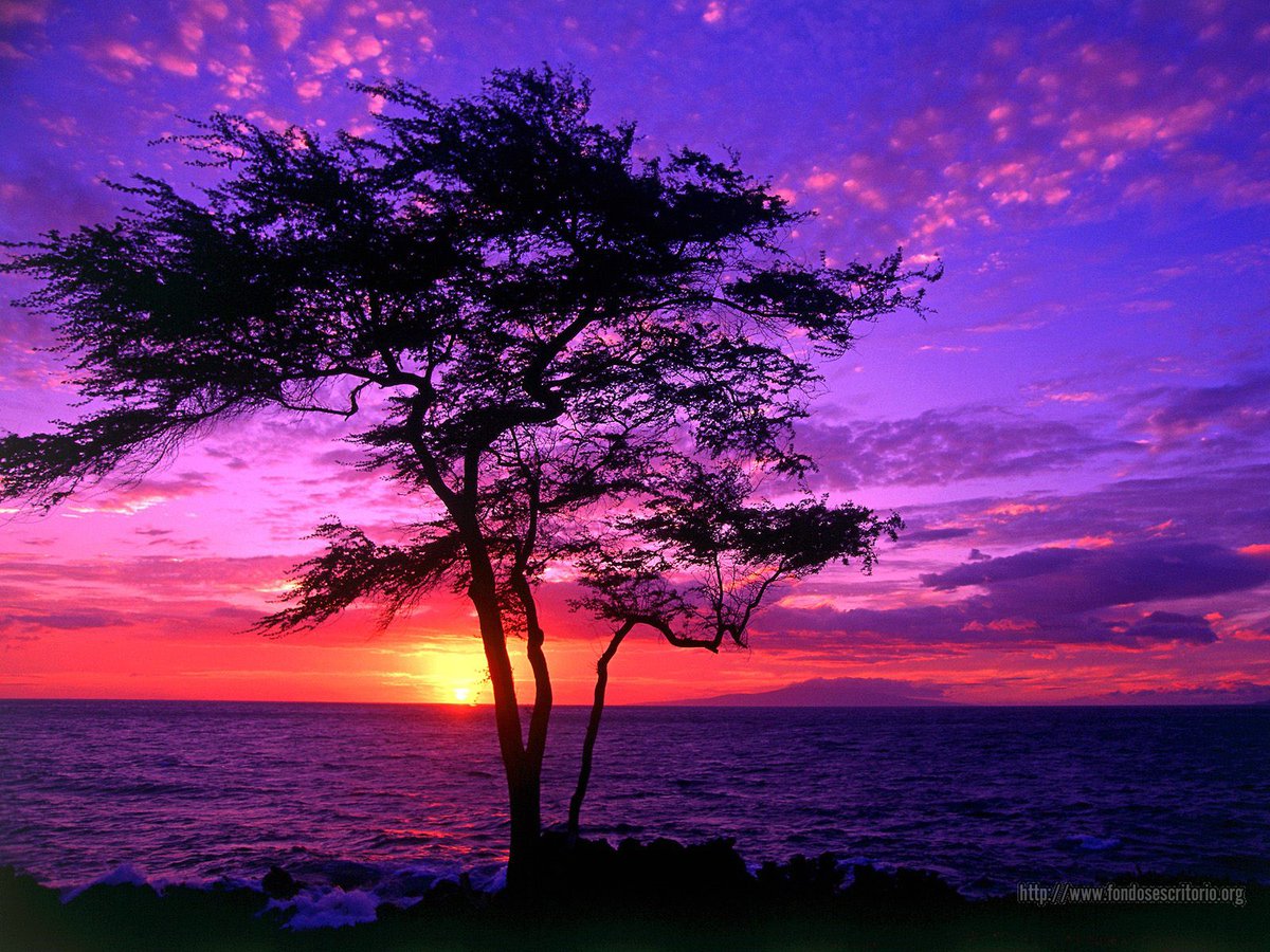 ObispoMunilla's tweet photo. Señor, yo pensaba que el naranja y el morado no pegaban. Pero ayer vi tu puesta de sol y me convenciste de lo contrario… https://t.co/EZeC6fmCMn