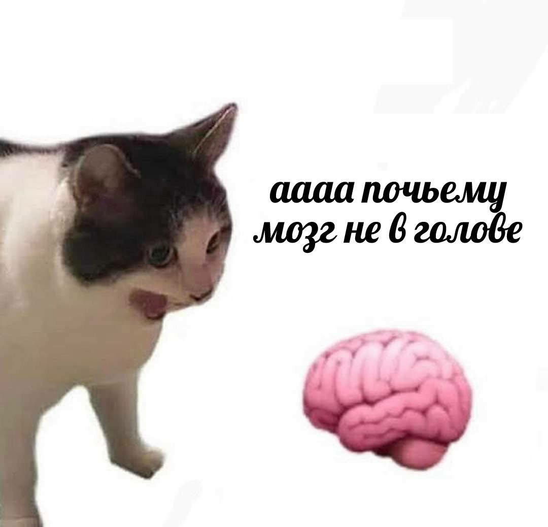vinopesca's tweet photo. Мои дорогие
У меня тут появился вопросик
Тут или я тупая, или я не знаю что произошло
Почему мы думали что 15 серия 4 сезона называется Комплекс дьявола, если она называется Самоконтроль?¿? 
Я спросила у @GzuuFRhXrzeHZnL, она тоже так думала
Или это просто я путала их🤔 https://t.co/AMRB6rGZy0