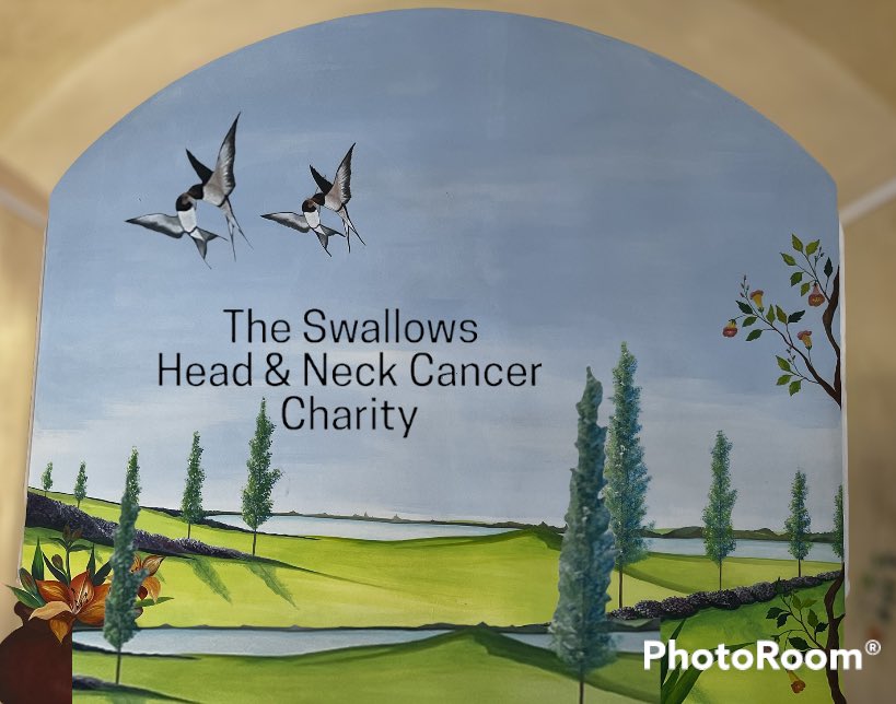 swallowsgroup's tweet photo. You are not alone patients and caregivers call our 24/7 support line 07504 725059 https://t.co/0WOU4GhJUo