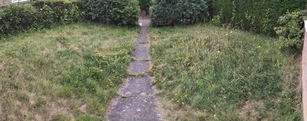 JCecil87's tweet photo. No mow May is quickly turning into no mow 2022. But there's at least a dozen bees and butterflies in that mess of a lawn so the strimmer will stay where it is for now 🌼🐝 https://t.co/O9wMmSSgQH