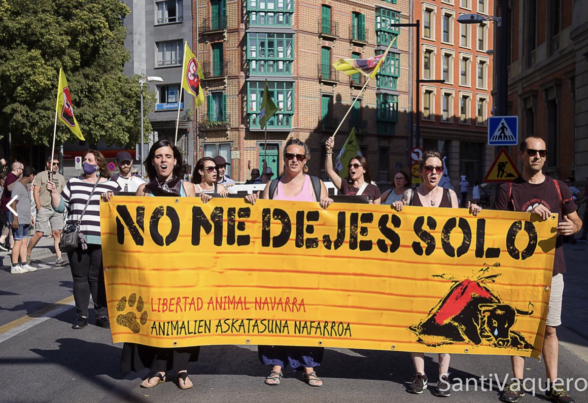 NavaLiberAnimal's tweet photo. Gracias a todas las personas que nos unimos ayer para decir 
#nomedejessolo 
#LaTorturaNoEsCultura 
En una sociedad avanzada no es posible la diversión haciendo sufrir hasta la muerte a un ser vivo.
Gracias @zezenakbizirik #durangaldeaAntiespezista
@s_corazonVerde @PartidoPACMA https://t.co/dPnjHxhy2x