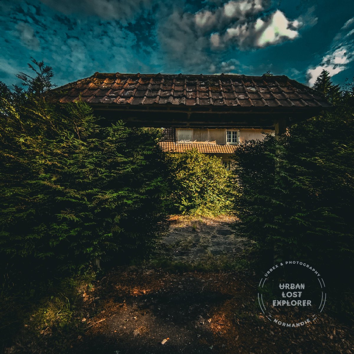 UrbanLostExplor's tweet photo. 🚸🏴‍☠️ Maison abandonnée •
➖➖➖➖➖➖➖➖➖➖➖➖

Quelque part dans le Calvados 🍎

#abandonedmansion #abandonedhouse #normandie #photooftheday
#urbex #urbexfrance #urbanexploration #urbexworld #lostplaces #unforgotten_world  #abandonedplaces #urbandecay #total_abandoned #gold https://t.co/zGvFjL8GAI