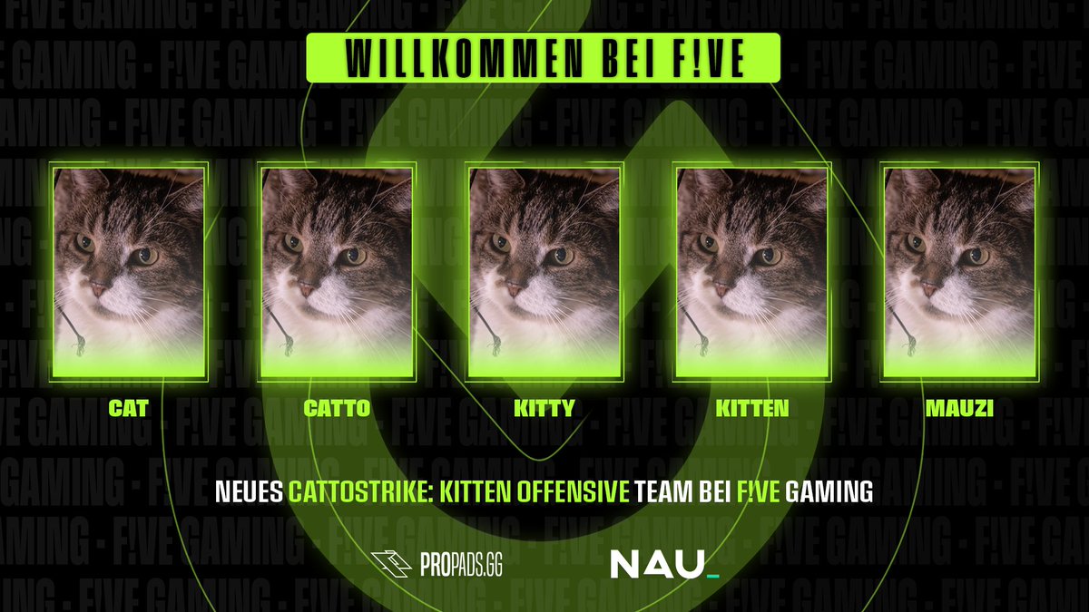 Wir haben vor kurzem mit <a href="/FiveGamingDE/">F!ve Gaming</a> zusammen gearbeitet und gemeinsam an neuen Grafiken für ihre Social Media Auftritte gewerkelt. 

Neben Bannern für diverse Plattformen ging es auch um Templates für Spieltage/Ergebnisse ihrer Teams und Ankündigungen neuer Spieler u. Teams.