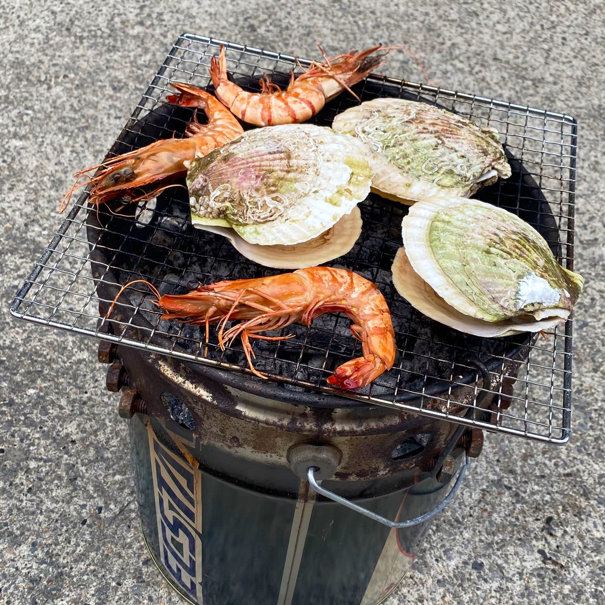 うたみいも🌱𝚄𝚝𝚊𝚖𝚒𝚒𝚖𝚘 tweet media