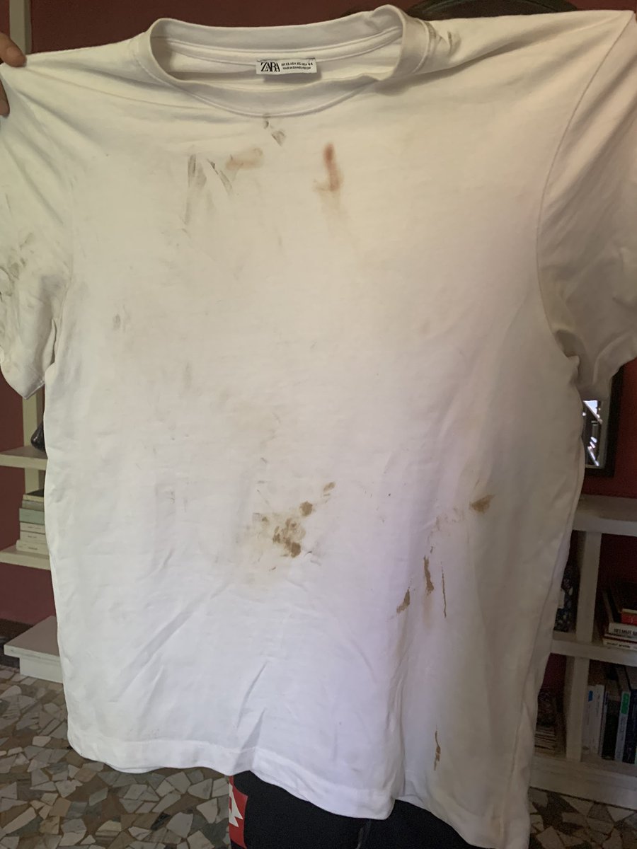 chuli_paquin's tweet image. RACCONTO UNA VIOLENTA AGGRESSIONE SUBITA IERI SERA A #PARMA 1/ Ieri notte io e @_R__ stavamo tornando a casa con i cani. In piazzale san Lorenzo, in una macchina con luce accesa in mezzo alla strada, due ragazzi facevano uso di cocaina. Non sappiamo cosa sia successo,