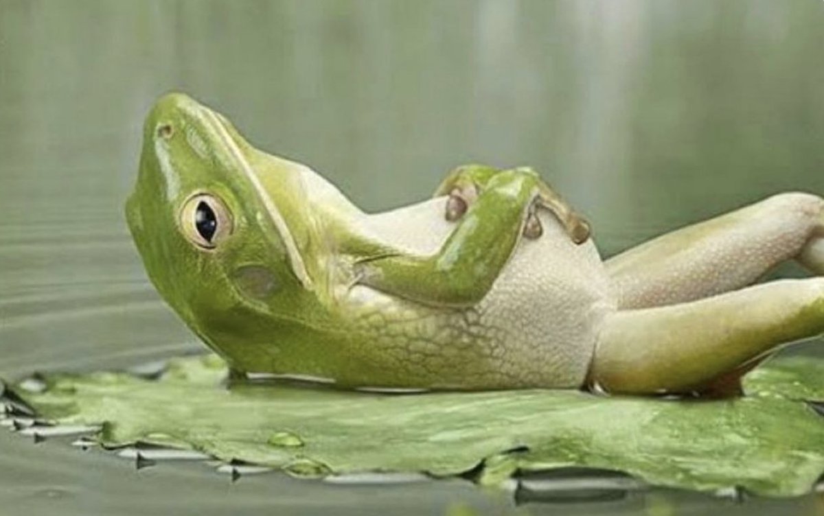 stuck between a rock and a hard place