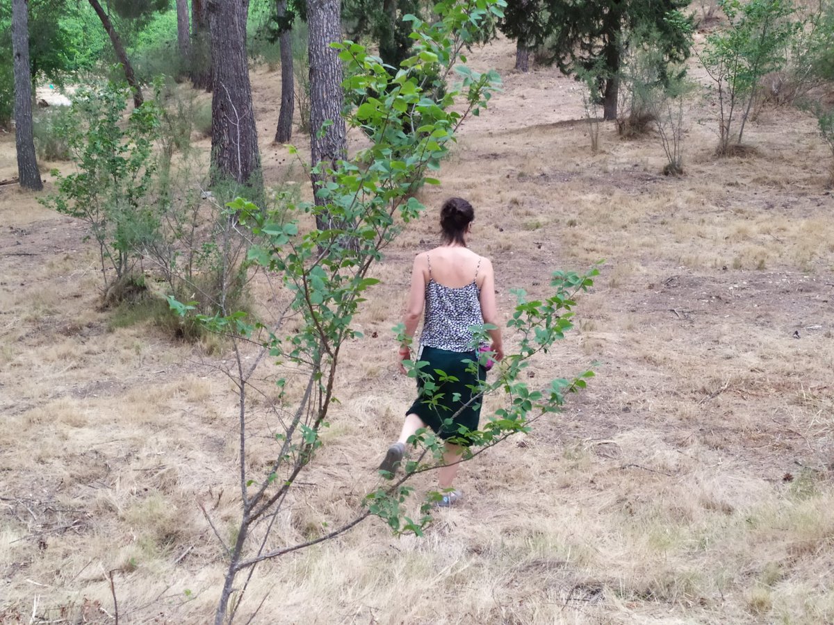 Dolors Solsona tweet media