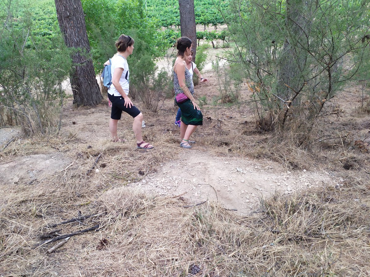 Dolors Solsona tweet media