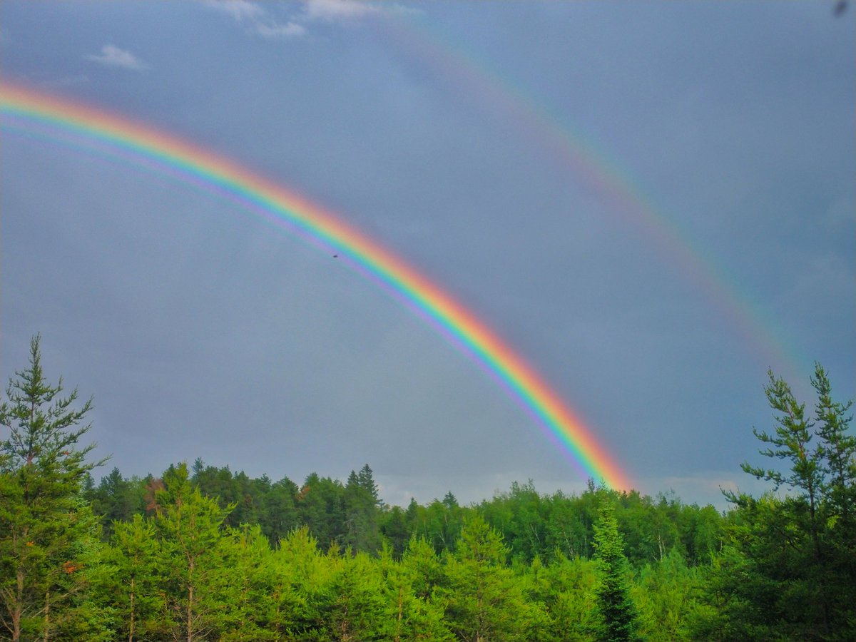 Waking Nomad tweet media