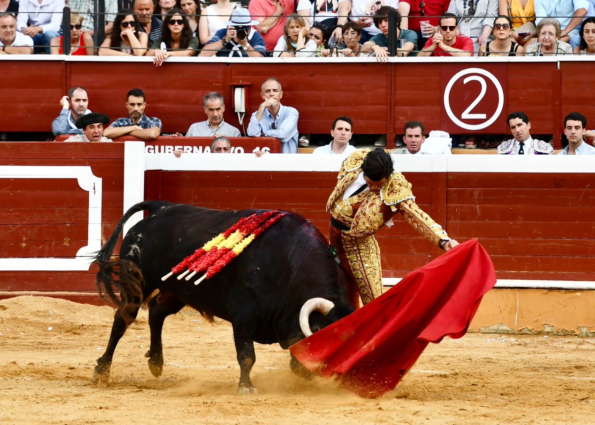 Plaza de Toros de Soria tweet media
