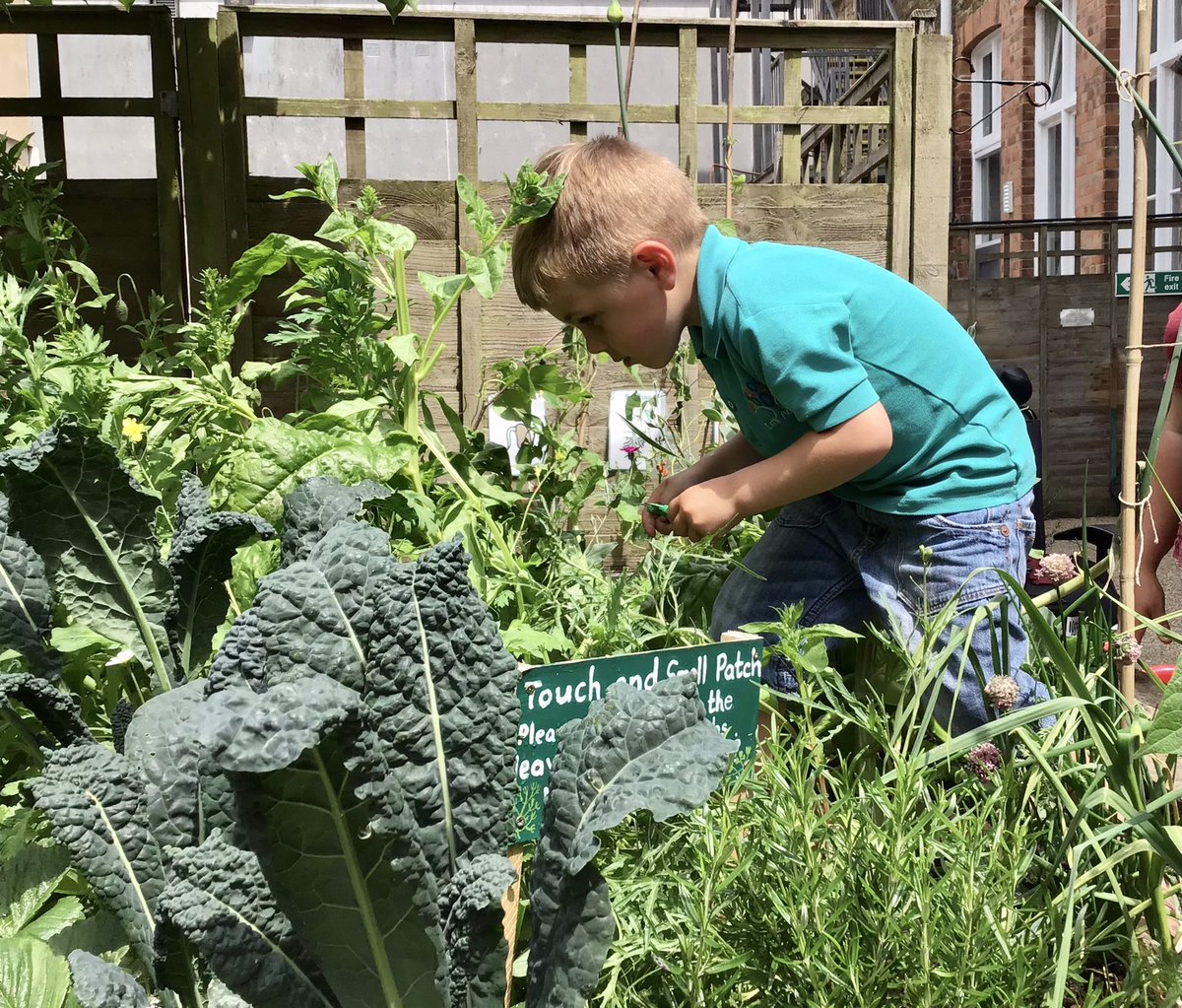 HorticultureTh1's tweet photo. Learning to dig, plant, water and harvest . Such valuable activities. All @buddingfriendstruro https://t.co/VbxVlcNGYL