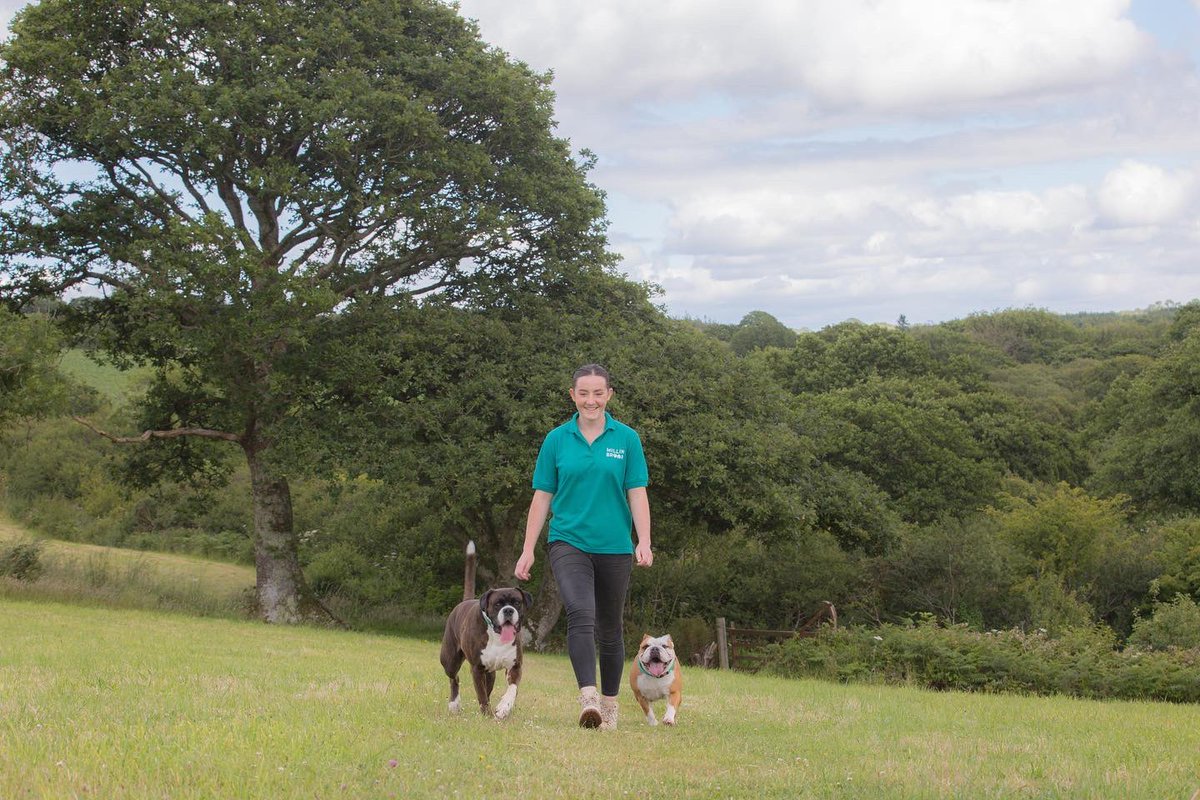 We have a new team member! We are thrilled to introduce you to Niamh who is a veterinary student and will be helping us during the holidays. As you can see, all the dogs love her already 🥰